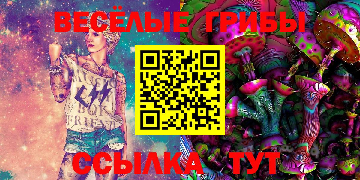 Брянск  Псилоцибиновые грибы Cubensis  Вход с VPN 