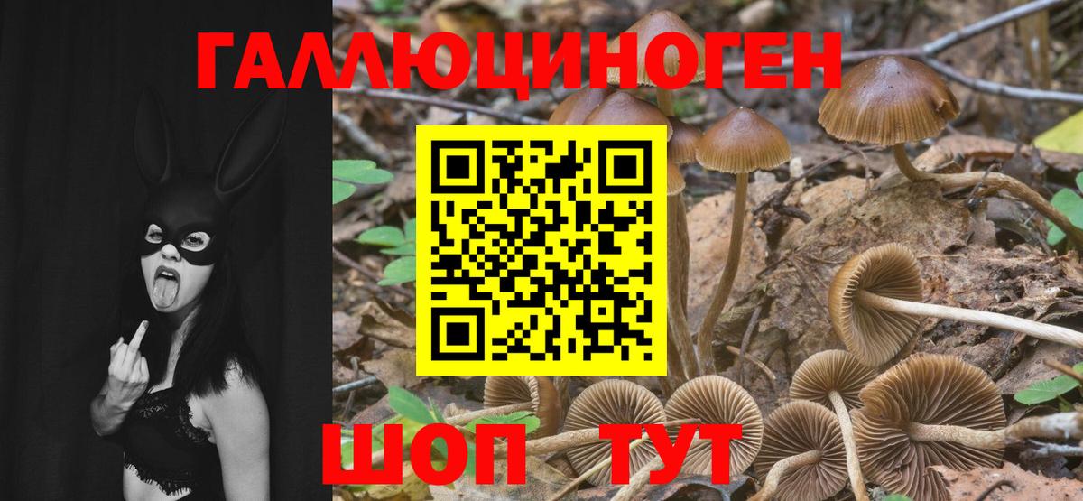 Галлюциногенные грибы MAGIC MUSHROOMS  Галлюциногенные грибы GOLDEN TEACHER  Брянск 