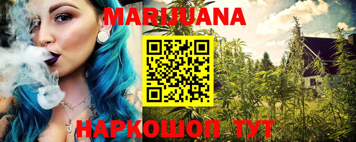 Бошки Шишки конопля  Бошки Шишки OG Kush  Брянск  МАРИХУАНА планчик 