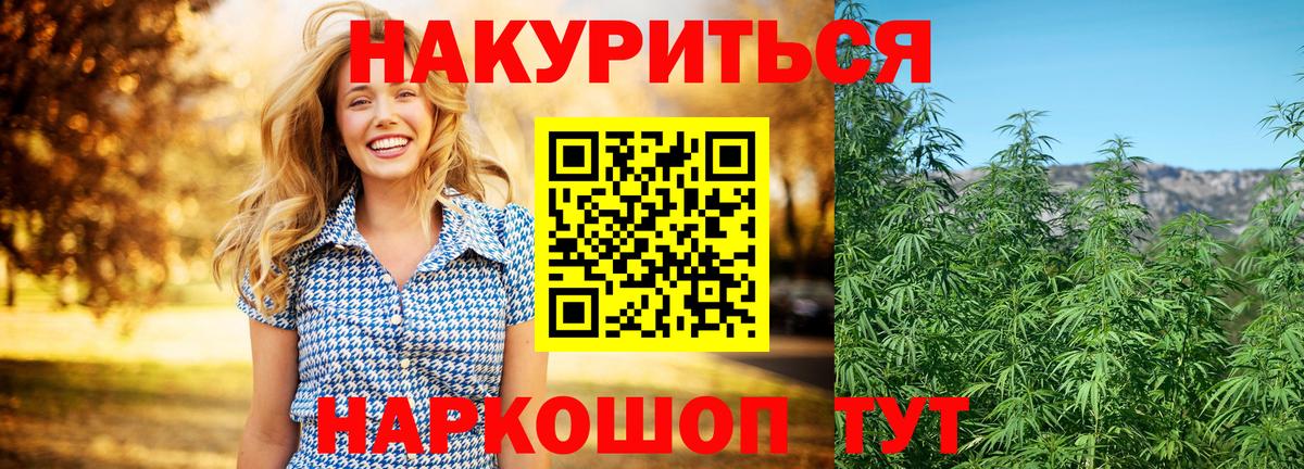 МАРИХУАНА план Брянск